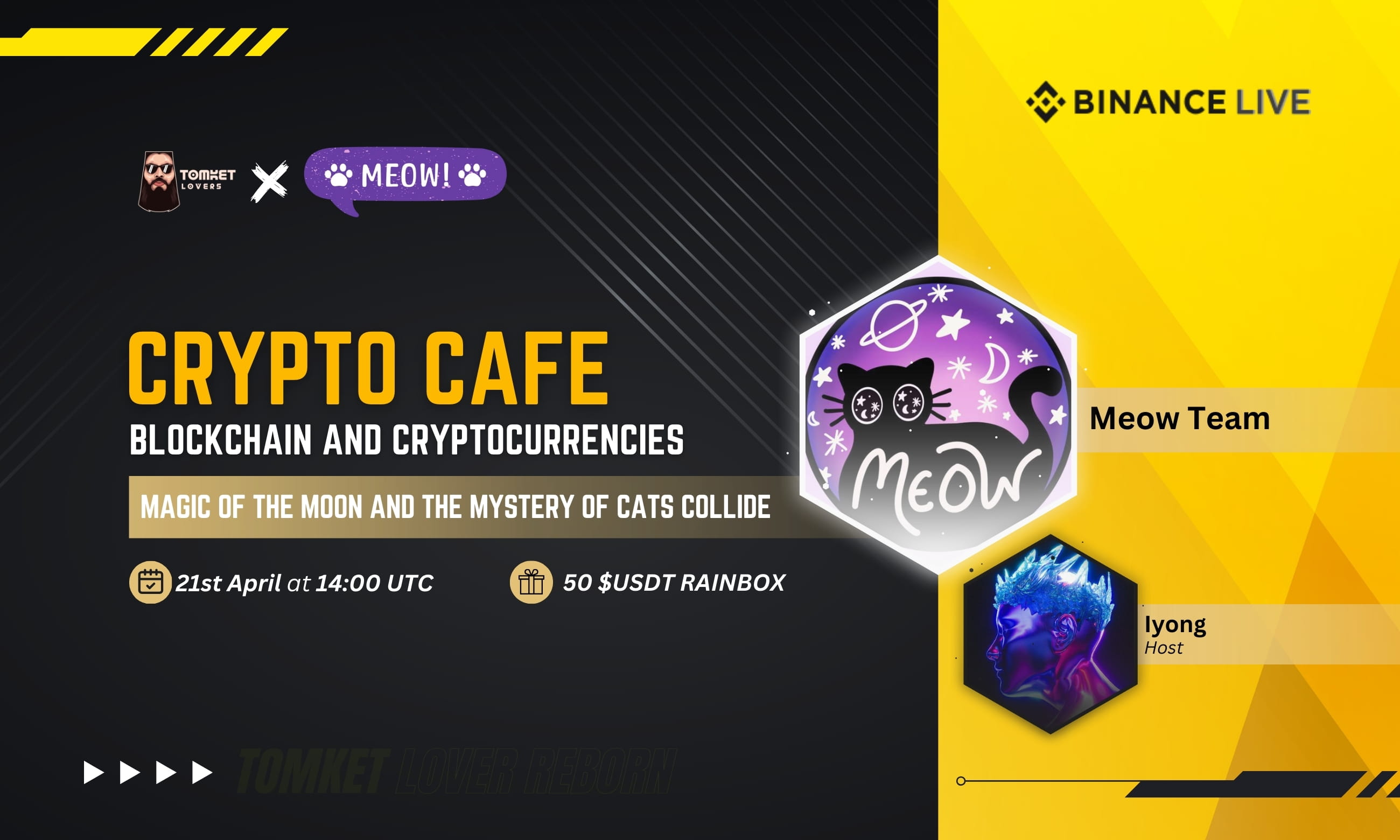 Crypto Cafe : Magic of the Moon and the Mystery of Cats Collide