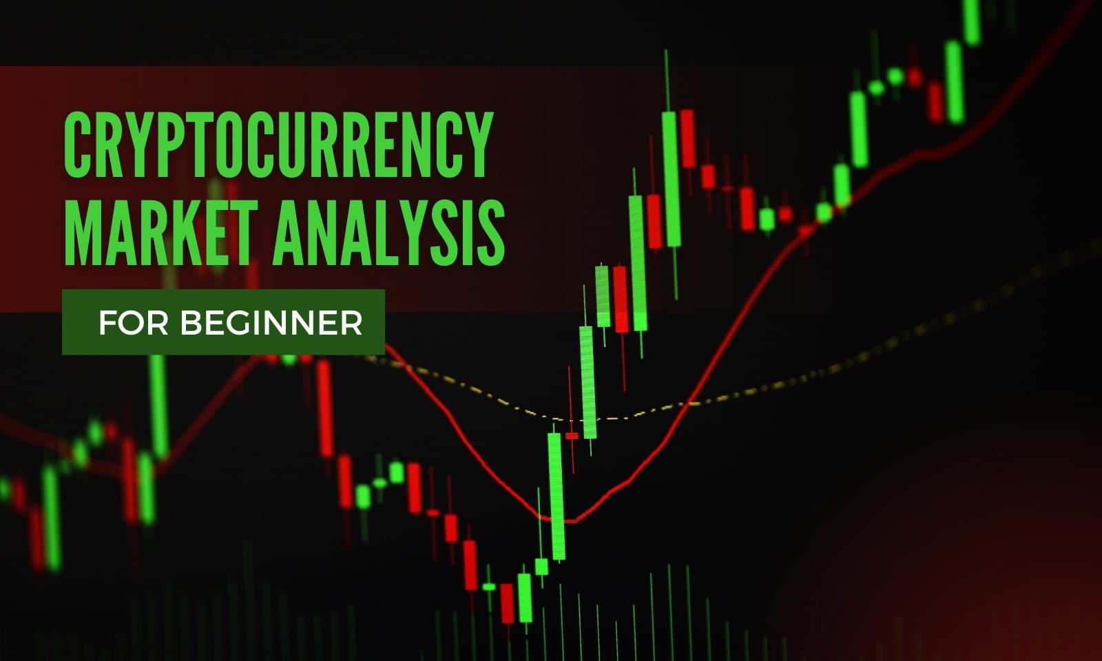 Todays Market Update 