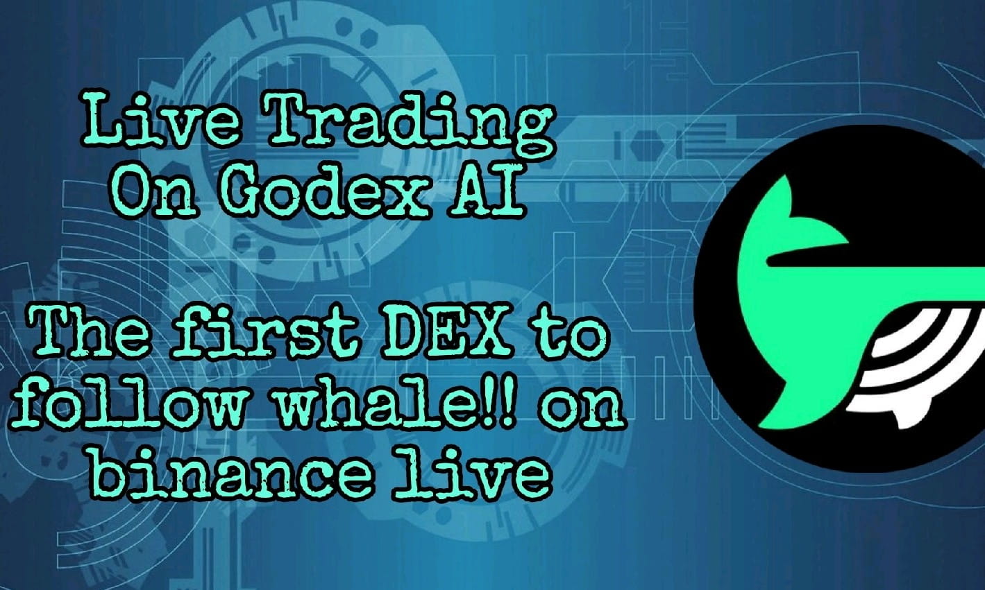 Live Trade On GodexAI , Copy Trade With Follow Whale , 100$ RainBox