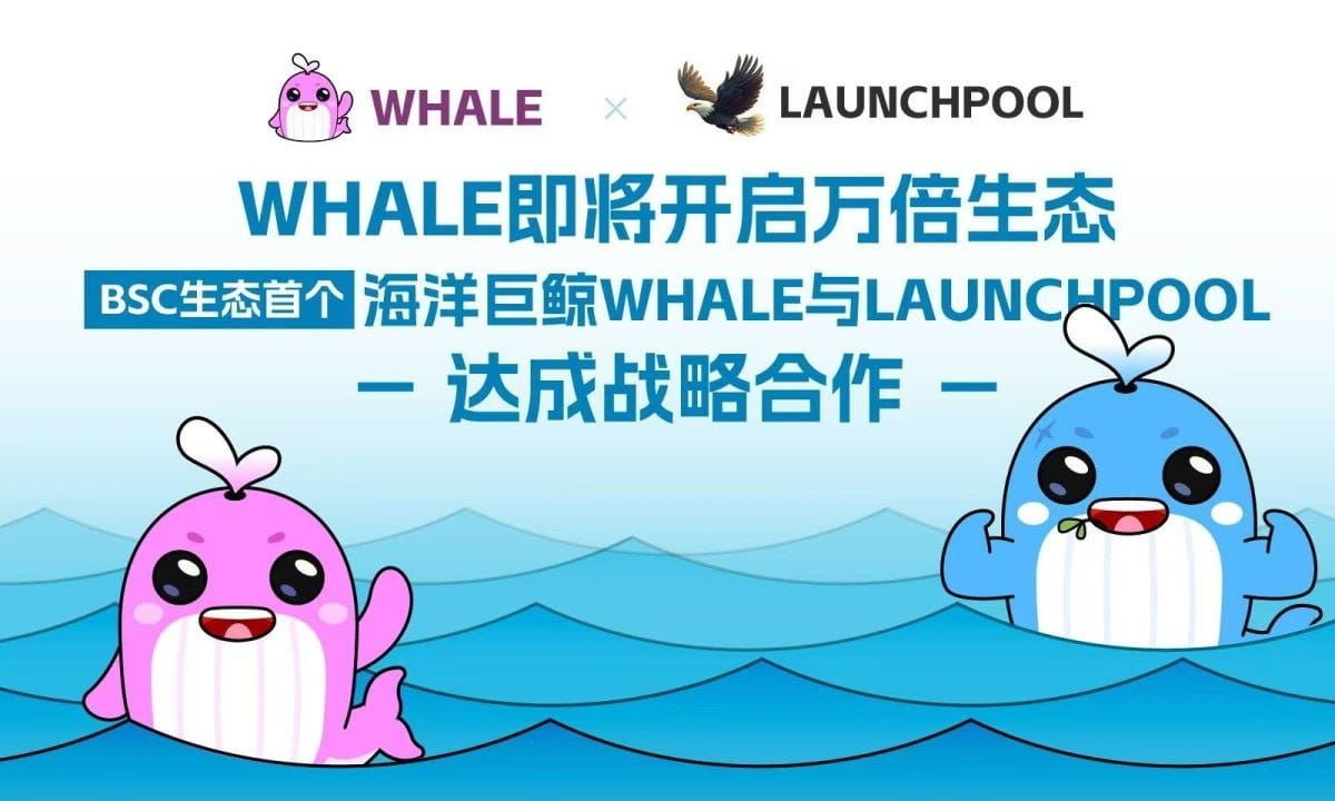 Whale即将开启万倍生态-BSC生态首个海洋巨鲸Whale与launchpool MEMEPAD达成战略合作