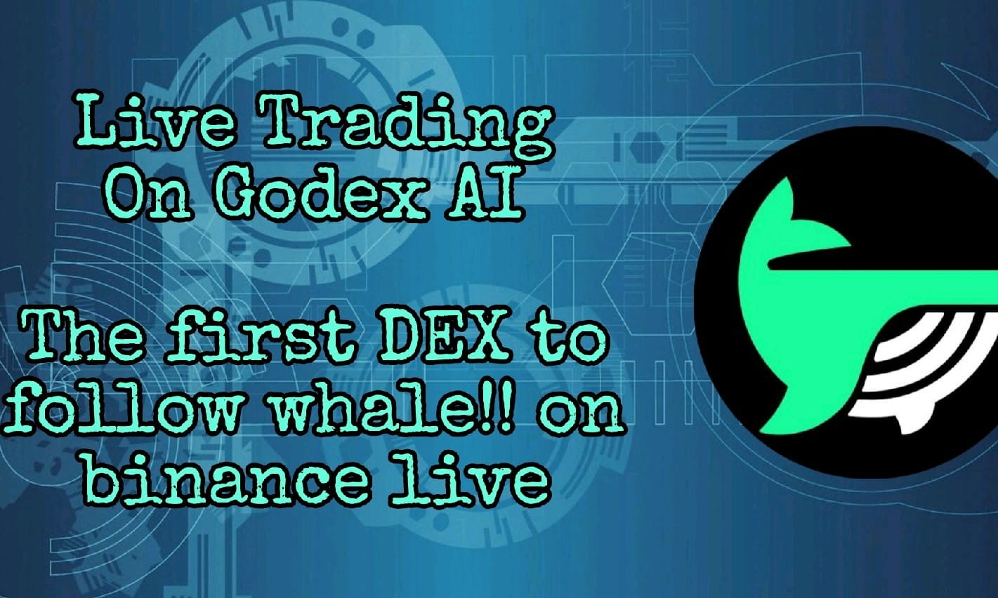 Live Trade on Godex AI Copy Trade With Whale , 100$ RainBox