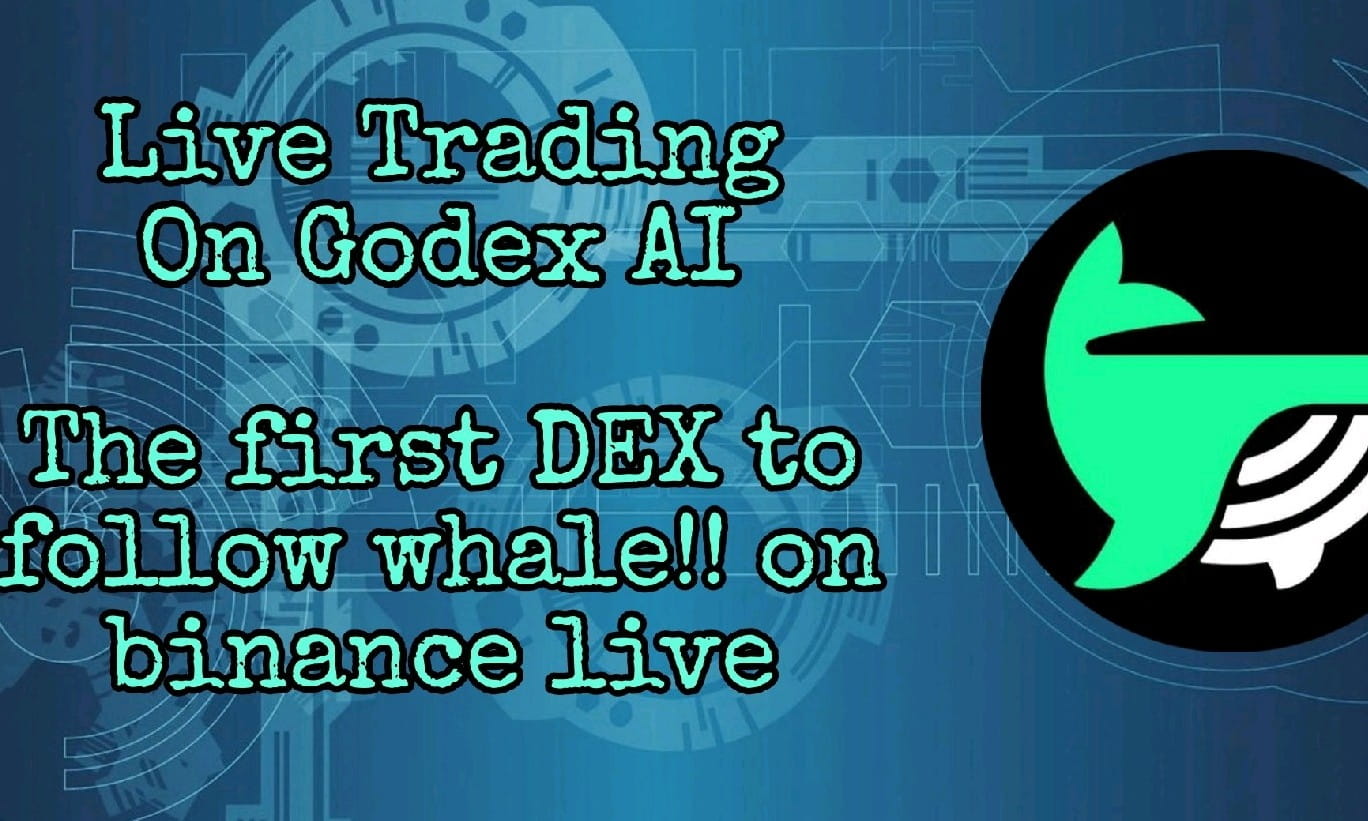 Live Trade on Godex AI , Copy Trade With Follow Whale , 100$ RainBox