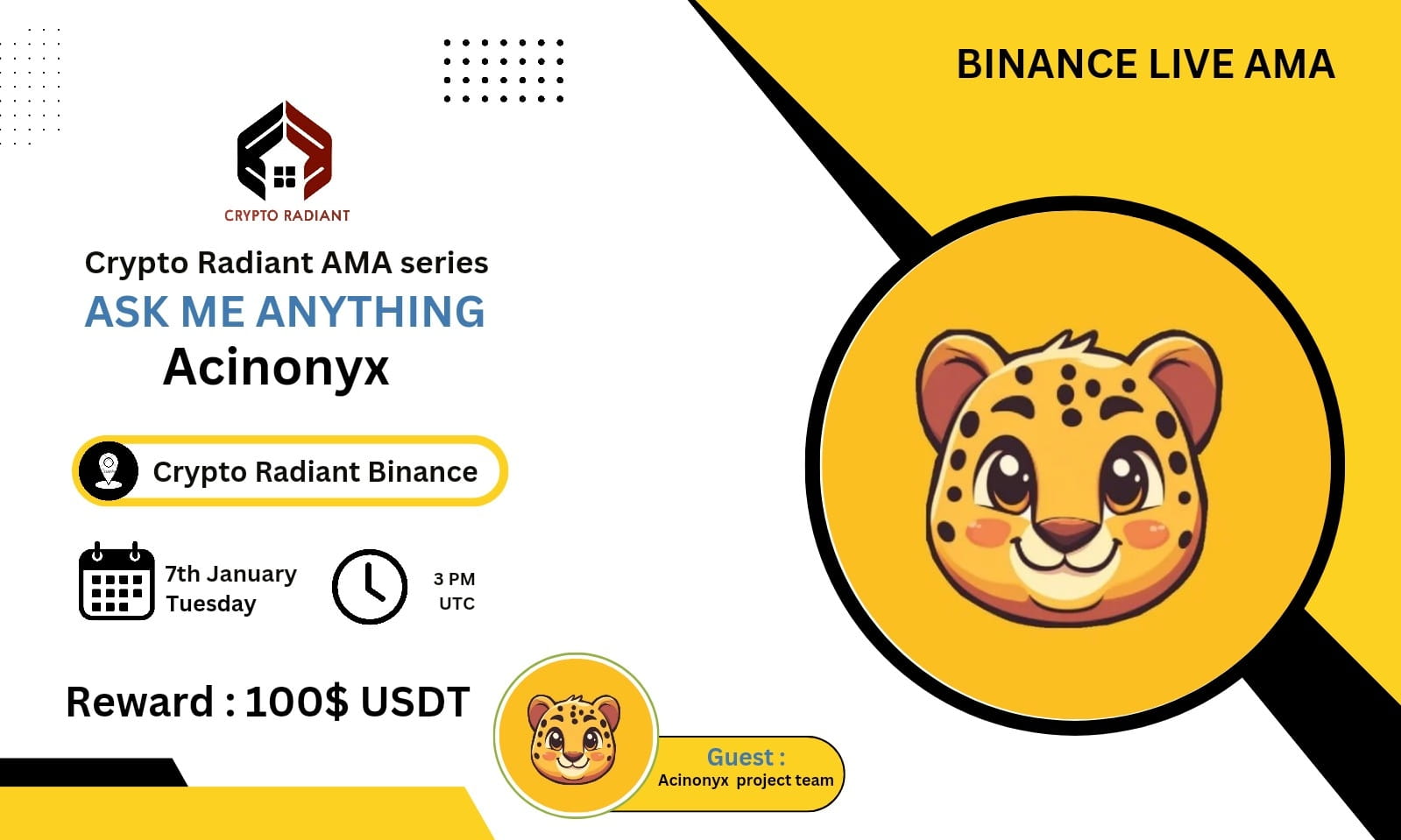 Ama - Crypto Radiant <> Acinonyx | $100 USDT Reward 