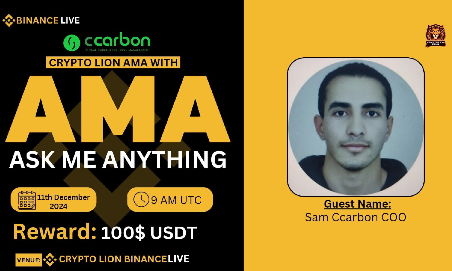 Crypto Lion Team AMA With Ccarbon