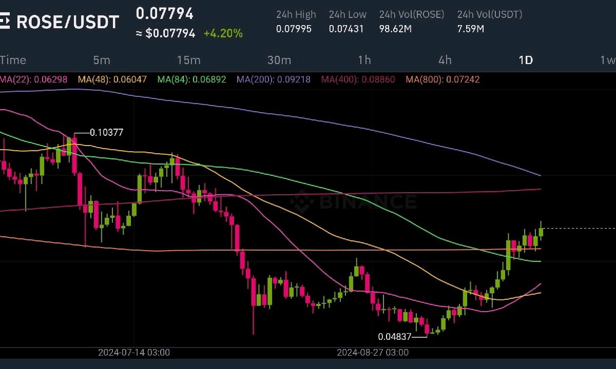 ROSE IS ABOVE MA 800 ON DAILY CHART ❤️ IS AI HAS POWER TO PUMP ❤️