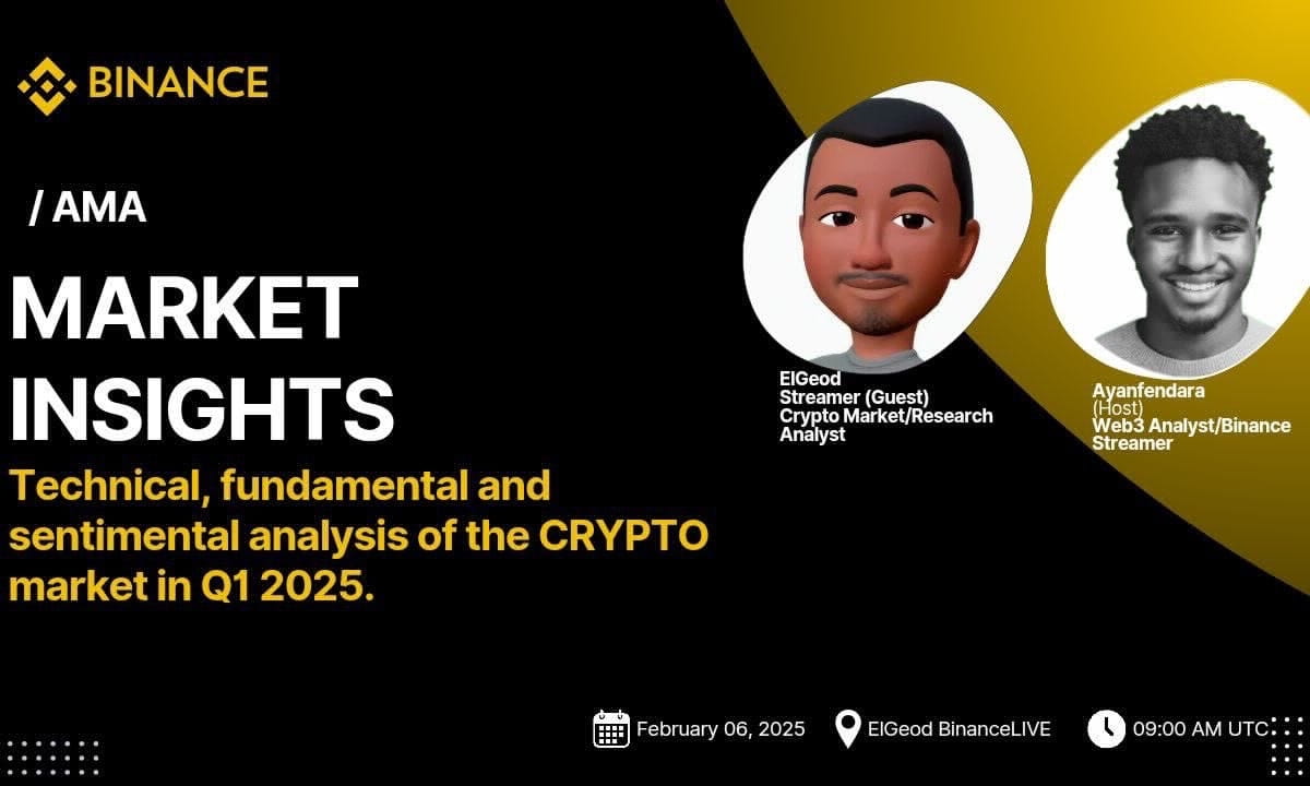 Market Insights with ELGEOD 