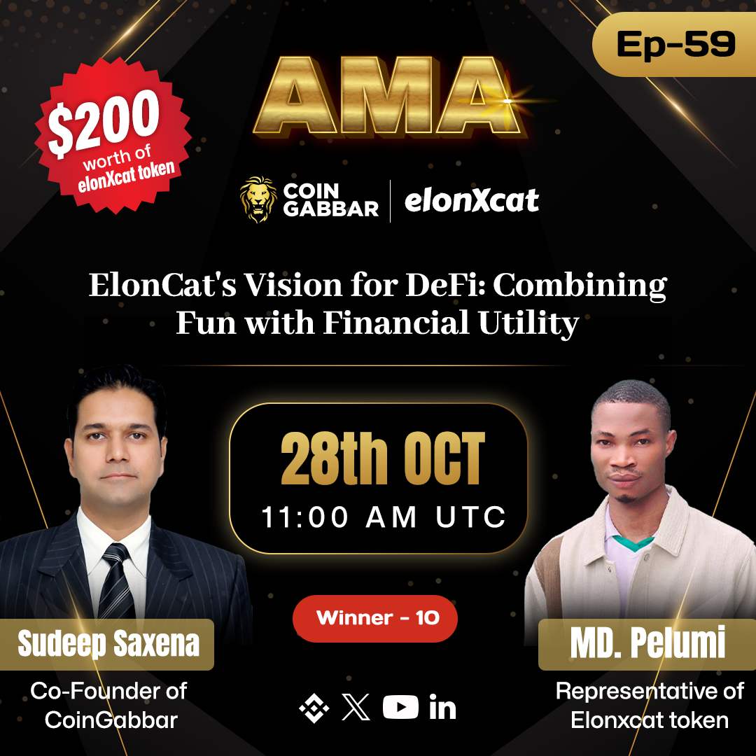 ElonCat's Vision for DeFi: Combining Fun with Financial Utility