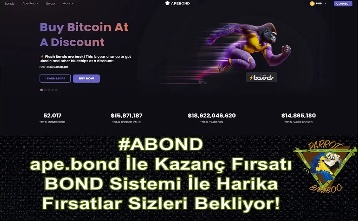 ApeBond Bond System In-Depth Review