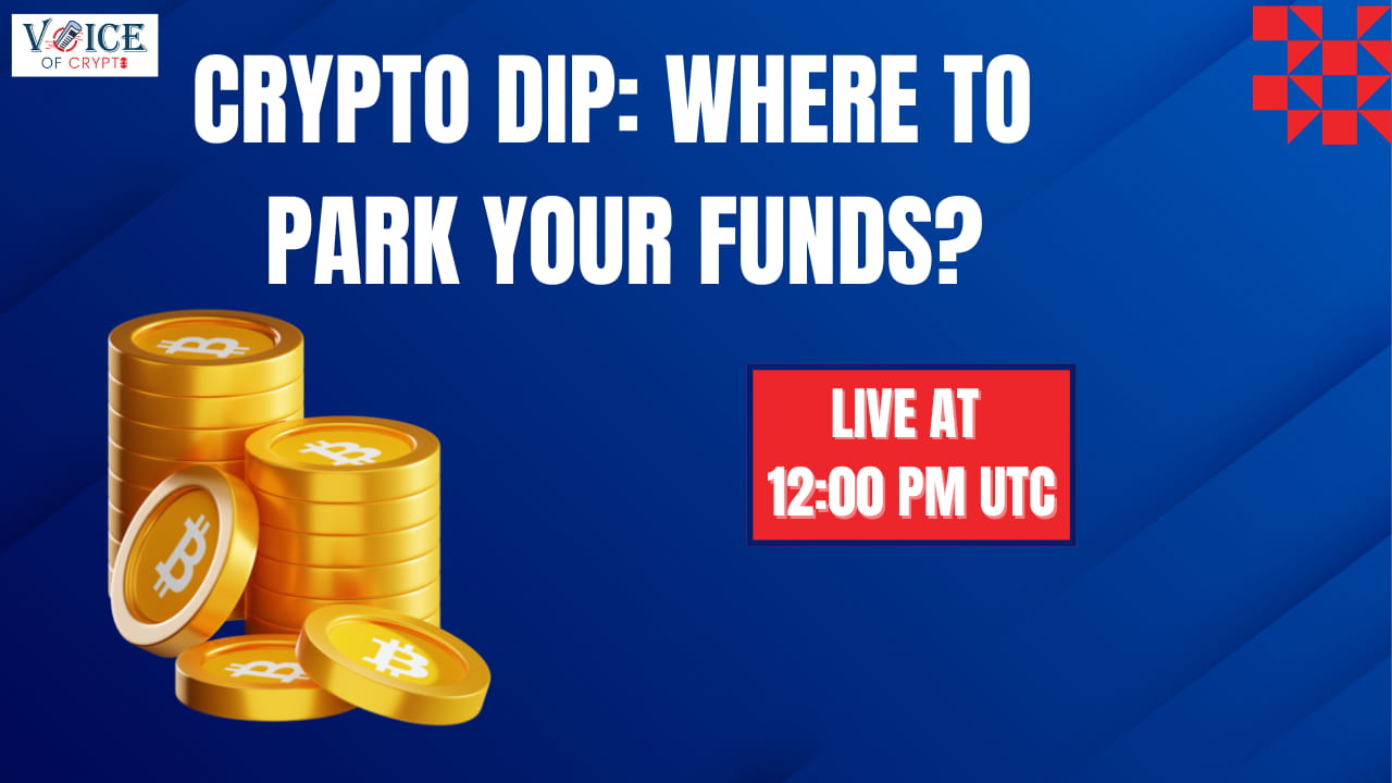 Crypto Dip: Where to Park Your Funds