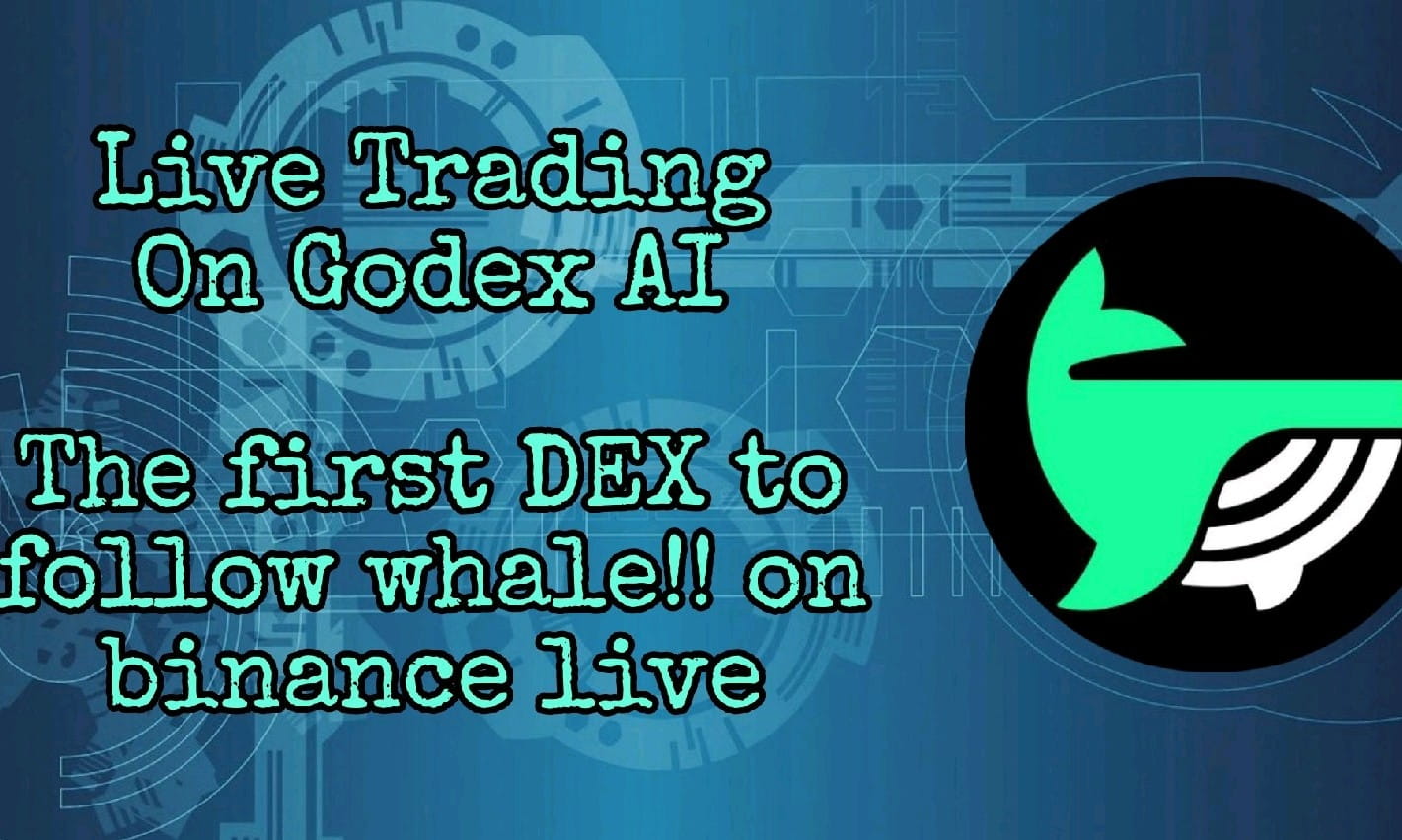 Live Trading On Godex AI , Copy Trade with Follow Whale , 100$ RainBox