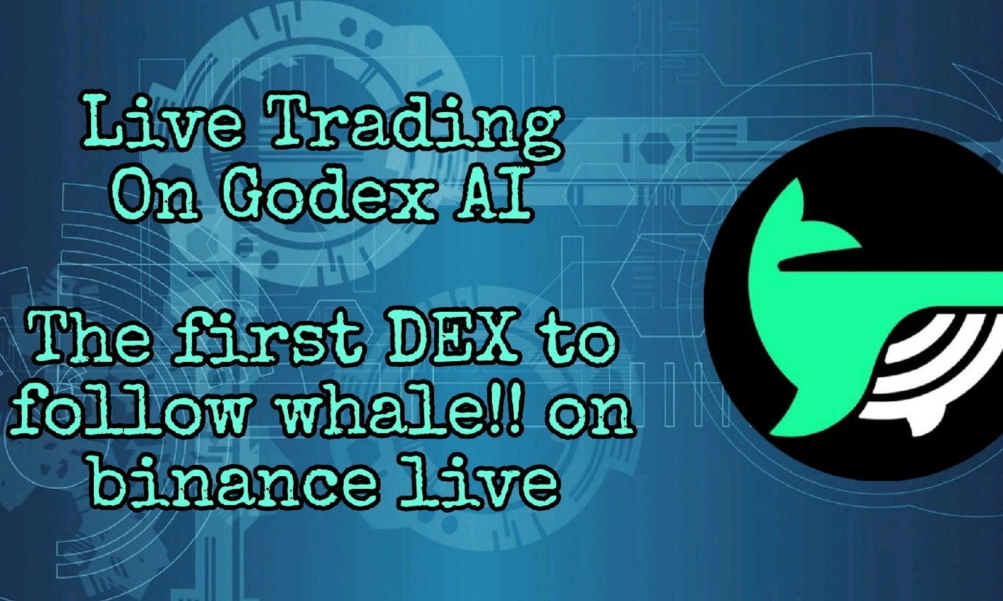 Live Trading on Godex AI , Copy Trade With Follow Whale , 100$ RainBox